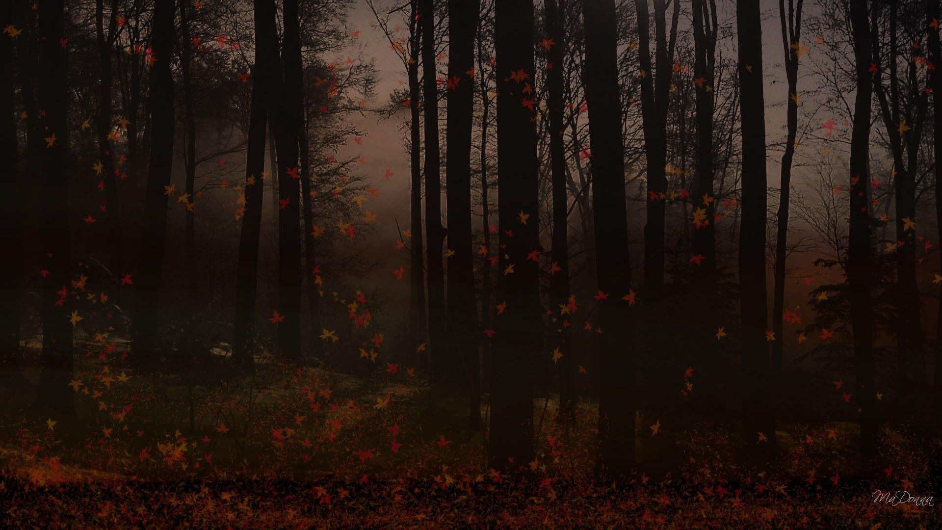 autumn-dusk-in-the-forest-1080P-wallpaper_0042f937-1a02-4f66-af11-b31558f0be83.jpg